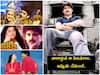 Nagarjuna Akkineni: నాగార్జున ఎప్పుడో చేసేసిన ఆ సినిమాలు ఇప్పుడు చేసుంటే అన్నీ బ్లాక్ బస్టర్ లే!