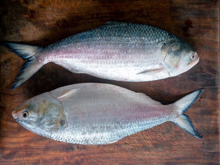 Yanam market Pulasa fish sold Rs.23k Konaseema district person bought Hilsa fish DNN Pulasa Fish : వామ్మో పులస క్రేజ్ మామూలుగా లేదు, యానాం మార్కెట్లో రూ.23 వేలు పలికిన పులస!
