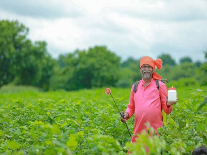 How dangerous is the pesticide identifying from its properties & color Pesticide Special: कितना खतरनाक है कीटनाशक, पहचानने के लिए अपनाएं ये खास तरीका