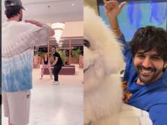 टीम इंडिया की जीत पर जमकर नाचे आयुष्मान-अनन्या, कार्तिक बोले 'What a Knock Hardik Pandya'