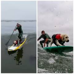 Watch: ऊंची उठ रही समुद्री लहरों से खेलता नजर आया डॉगी, हैरत में डाल देगा सर्फिंग स्टाइल