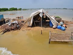 Pakistan Flood: एक किलो प्याज की कीमत हुई 500 रुपये, बाढ़ ने बढ़ाई पाकिस्तान की मुसीबत