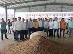 SURENDRANAGAR : เชงเซเชฐเชพเชเชเชงเซเชฐเชพ APMCเชฎเชพเช เชธเชฟเชเชจเชจเชพ เชชเซเชฐเชฅเชฎ เชเชชเชพเชธ เช
เชจเซ เชฎเชเชซเชณเซเชจเซ เชญเชพเชต เชธเซเชฅเซ เชเชเชเซ เชฎเชณเชคเชพ เชเซเชกเซเชคเซเชฎเชพเช เชเชจเชเชฆ, เชเชพเชฃเซ เชเช เชฎเชฃ เชเชชเชพเชธเชจเชพ เชเซเชเชฒเชพ เชฐเซเชชเชฟเชฏเชพ เช
เชชเชพเชฏเชพ