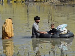 Pakistan Considering Resuming Trade With India, Importing Edible Items Amid Devastating Floods: Report