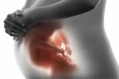 Abortion Rights : திருமணம் ஆகாத பெண்களுக்கும் கருக்கலைப்பிற்கான உரிமை உண்டு.. உச்சநீதிமன்றம் அதிரடி தீர்ப்பு..