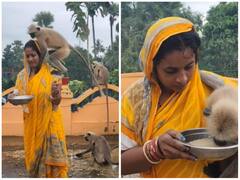 Watch: लंगूरों पर ममता लुटाते नजर आई महिला, गोद में बिठा कर खिला रही खाना