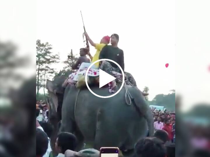 BJP MLA Vinay Bihari firing from Rifle at the fair in Bettiah Video Viral on Social Media ann VIDEO: मेले में भीड़ के बीच हाथी पर चढ़कर बीजेपी विधायक विनय बिहारी ने राइफल से चलाई गोली, वीडियो वायरल