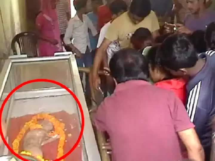 மனித முகத்துடன் பிறந்த கன்றுக்குட்டி.. விஷ்ணு அவதாரம் என நம்பி கோவில் கட்டிய மக்கள்.. இந்த கிராமத்திலா? When a UP village, convinced cow born with 'human face' was 'avatar of Lord Vishnu', almost built a temple மனித முகத்துடன் பிறந்த கன்றுக்குட்டி.. விஷ்ணு அவதாரம் என நம்பி கோவில் கட்டிய மக்கள்.. இந்த கிராமத்திலா?