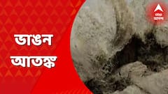 Malda: মালদায় ফের ভাঙন-আতঙ্ক, এবার রতুয়ায় কোশি নদীতে শুরু ভাঙন