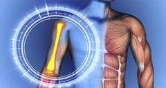 Prevent Bones From Becoming Hollow ਹੱਡੀਆਂ ਨੂੰ ਖੋਖਲਾ ਕਰ ਸਕਦੀਆਂ ਇਹ ਚੀਜ਼ਾਂ, ਸਮਾਂ ਰਹਿੰਦੇ ਰੱਖੋ ਧਿਆਨ