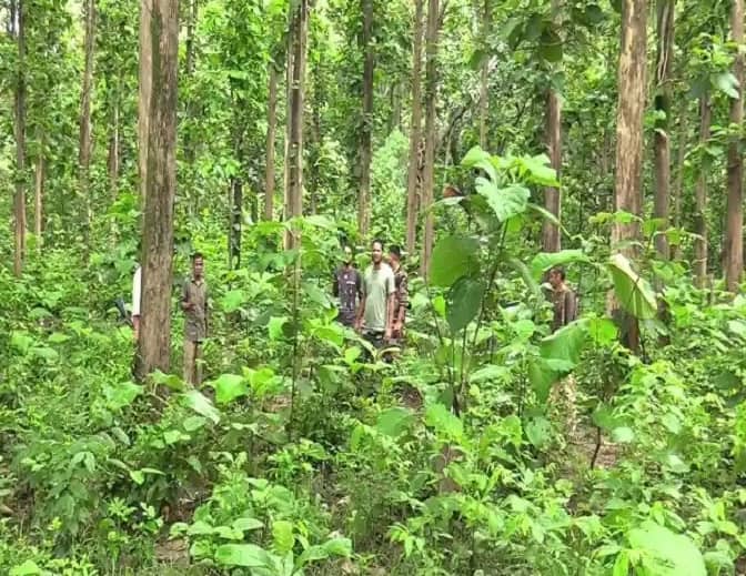 Governor Uikey Passes Chhattisgarh Protection of Primitive Tribes (Amendment) Bill Chhattisgarh News: આદિવાસીઓની જમીન પરના ઝાડ કાપવા પર ત્રણ વર્ષની સજા, રાજ્યપાલે આપી મંજૂરી