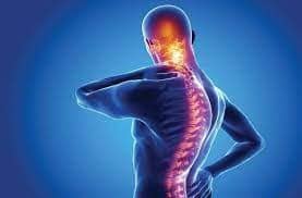 ਸਰੀਰ ਨੂੰ ਸਿਹਤਮੰਦ ਰੱਖਣ ਦੇ ਨਾਲ-ਨਾਲ ਹੱਡੀਆਂ ਨੂੰ ਮਜ਼ਬੂਤ ਰੱਖਣਾ ਵੀ ਜ਼ਰੂਰੀ ਹੈ।