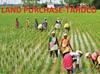 TAHDCO Land purchase Scheme: தாட்கோ மூலம் ரூ.2.25 லட்சம்‌ மானியத்தில் 5 ஏக்கர் வரை நிலம் வாங்கலாம், எப்படி?- முழு விவரம்