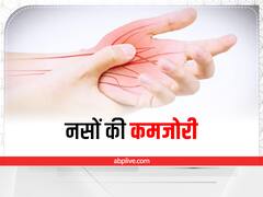 Healthy Veins: शरीर की नस कमजोर हैं तो बहुत नुकसान हैं, इन उपायों से बनाएं मजबूत