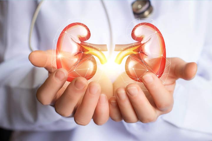 5 ways to keep your kidneys healthy doctors share simple tips you need to know Kidney Health Tips : किडनीचे आरोग्य सुधारण्यासाठी महत्त्वाच्या टिप्स