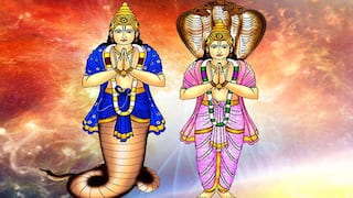Astro Tips : কেতুর অশুভ প্রভাবে নানা সমস্যায় তুলার জাতক-জাতিকারা, কী করবেন ?