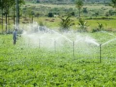 बूंद-बूंद सिंचाई के लिये मिल रहा है 75% तक अनुदान, आवेदन करने पर खाते में ट्रांसफर होगी सब्सिडी की राशि