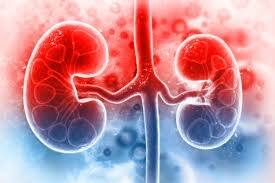 Kidney Alert: Your eyes and skin tell the condition of your kidneys, know when to be careful Kidney Alert : ਤੁਹਾਡੀਆਂ ਅੱਖਾਂ ਤੇ ਸਕਿਨ ਦੱਸਦੀ ਐ ਤੁਹਾਡੀ ਕਿਡਨੀ ਦੀ ਸਥਿਤੀ, ਜਾਣੋ ਕਦੋਂ ਰਹਿਣਾ ਸਾਵਧਾਨ