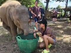 Varalaxmi Sarathkumar :  யானை குட்டியுடன் வரலட்சுமி சரத்குமாரின் சமீபத்திய புகைப்படங்கள்!