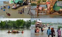 Pakistan Floods: সলিল সমাধি ১১০০ মানুষের, ৭ লক্ষ ২৭ হাজার গবাদি পশুর মৃত্যু, বন্যা বিপর্যয়ে খাদ্যসঙ্কট পাকিস্তানে