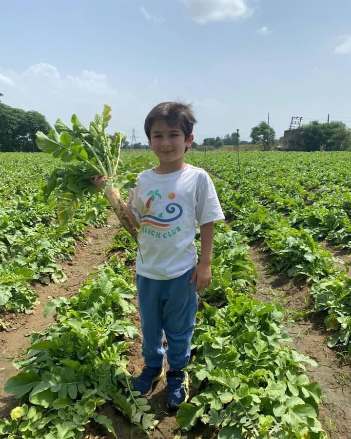 तैमूर की क्यूट तस्वीरों को शेयर करते हुए करीना कपूर खान ने कैप्शन में लिखा, 'गरम-गरम मूली के पराठे विद घी फॉर लंच...