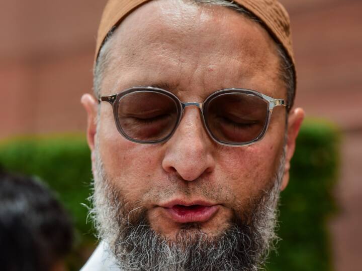 असदुद्दीन ओवैसी ने मोदी सरकार पर फिर साधा निशाना, पूछा- सैनिकों की शहादत का बदला कब लिया जाएगा? AIMIM Chief Asaduddin Owaisi Once Attack on Modi Government and asks avenge murder of our soldiers असदुद्दीन ओवैसी ने मोदी सरकार पर फिर साधा निशाना, पूछा- सैनिकों की शहादत का बदला कब लिया जाएगा?