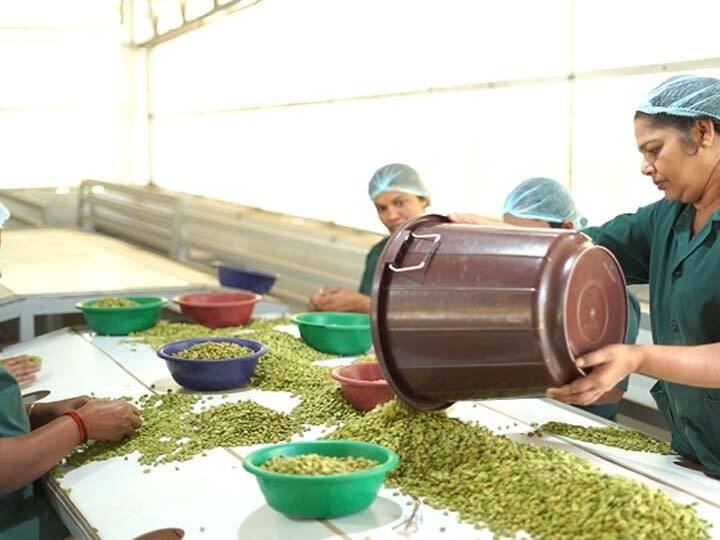 theni : The price of cardamom, one of the soft commodities grown in Kerala, has gone up and is being sold at Rs 1,100 per kg  TNN தேனி: ஏலக்காய் விலை அதிகரிப்பு; கிலோ ரூ.1,100க்கு விற்பனை