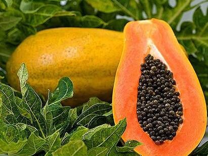 Is papaya good for managing diabetes and heart health? Heart Health : இதயத்துக்கு இவ்வளவு செய்யுமா பப்பாளி? உங்களுக்கு தெரியாத சில மேஜிக் விஷயங்கள்..