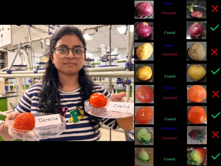 IIT Guwahati Researchers Develop Edible Coating To Extend Shelf Life Of Fruits And Vegetables IIT Guwahati Researchers Develop Edible Coating To Extend Shelf Life Of Fruits And Vegetables