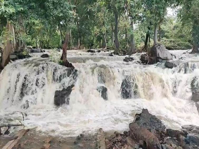 Increase in flow of water raised 1,45,000 cubic feet per second in Cauvery River at Piligundulu bordering Tamil Nadu காவிரி ஆற்றில் 1,25,000 கன அடியிலிருந்து 1,45,000 கன அடியாக நீர்வரத்து அதிகரிப்பு..