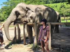 Varalaxmi Sarathkumar :  யானை குட்டியுடன் வரலட்சுமி சரத்குமாரின் சமீபத்திய புகைப்படங்கள்!