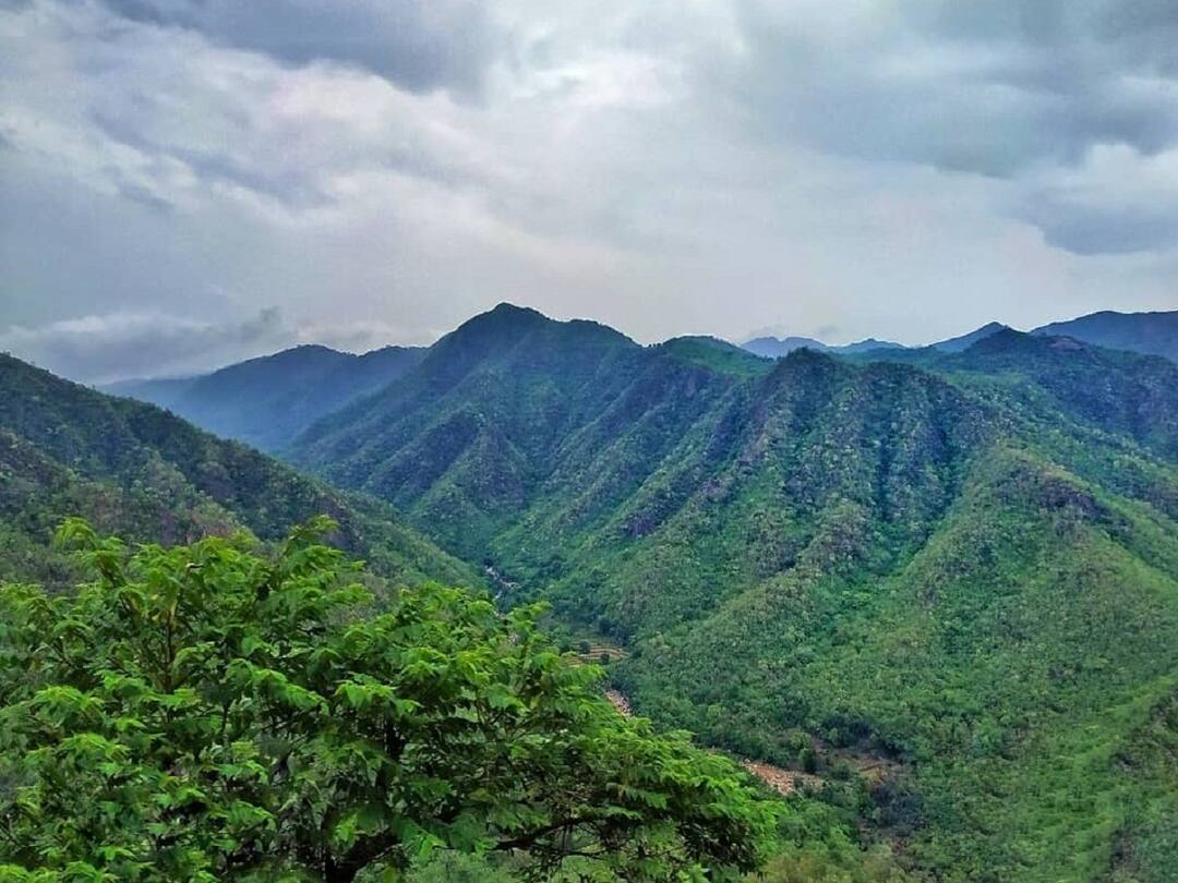 Travel : மூணே நாள்ல ஒரு சோலோ ட்ரிப் போக ஆசையா? அரக்கு பள்ளத்தாக்கில் இருக்கு ஆயிரம் மேஜிக்..