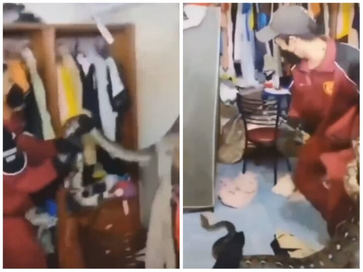 Giant python hidden in ceiling of room harassed the rescue team Video: कमरे की सीलिंग में छुपा बैठा था विशालकाय अजगर, रेस्क्यू टीम के छुड़ा दिए पसीने