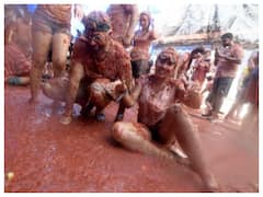 Spain: People Covered In Tomato Pulp Take Part In La Tomatina Festival After Two-Year Gap | IN PICS