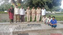 Nashik News : 'घरटं नाही आमचं कुटुंब उध्वस्त झालंय?' सिन्नरमध्ये घरटी हटविताना शंभरहून अधिक पक्षांचा बळी