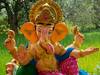 Ganesh Chaturthi 2022 : चिपळूणच्या युवकाने साकारल्या विसर्जनानंतर पाणी शुद्ध होणाऱ्या गणेश मूर्ती