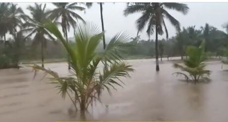 Karnataka Flood : कर्नाटक राज्यात पुरामुळं जनजीवन विस्कळीत, 27 जिल्ह्यांना फटका