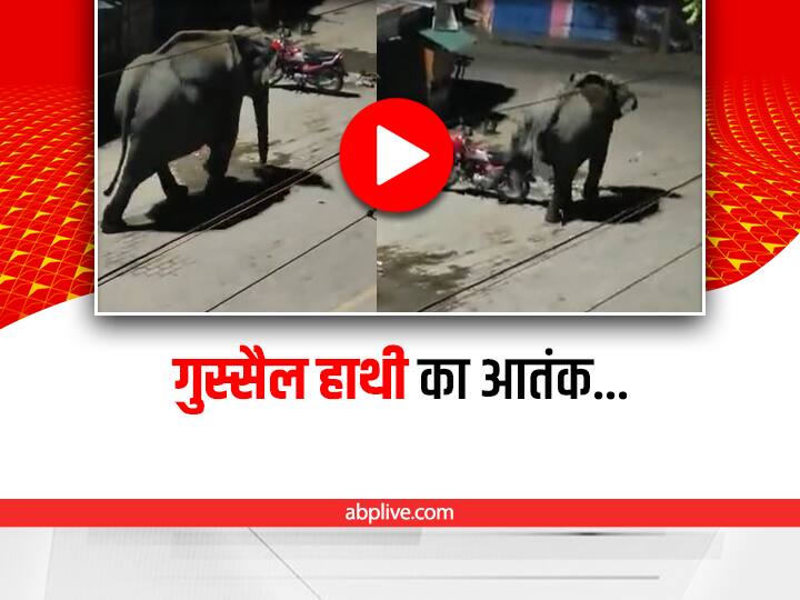 Wild elephant kicking two wheeler at night in Tezpur area of ​​Assam Video: असम में रात के समय घूमता दिखाई दिया हाथी, हरकतें देख दहल जाएगा दिल