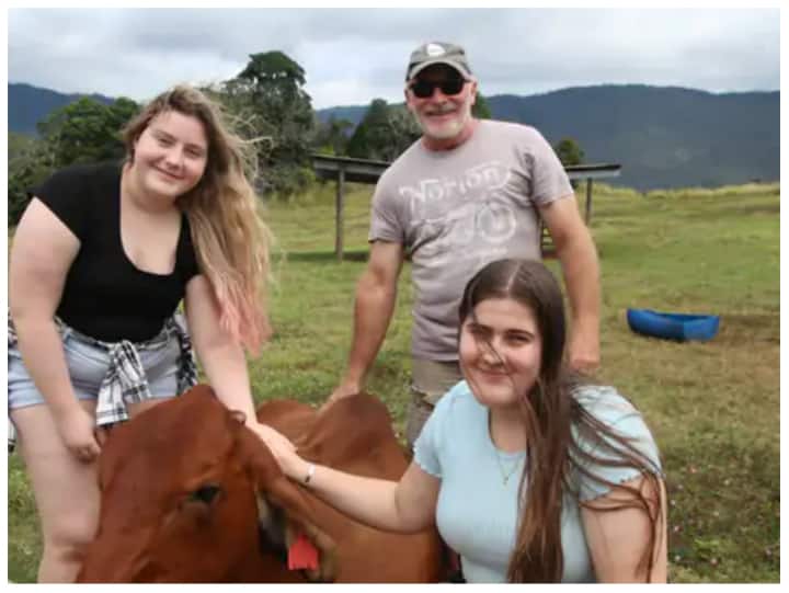 Cow Cuddling Therapy for Mental and Autism Patients in Australia Cow Therapy: ऑस्ट्रेलिया में बज रहा भारतीय नस्ल की गायों का डंका, ऑटिज्म और मानसिक रोगियों को काऊ थेरेपी से मिल रहा फायदा