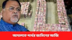 Partha Chatterjee : 'প্রয়োজনে একা বাড়িতে পুলিশি নজরদারিতে রাখা হোক' আদালতে পার্থর জামিনের আর্জি