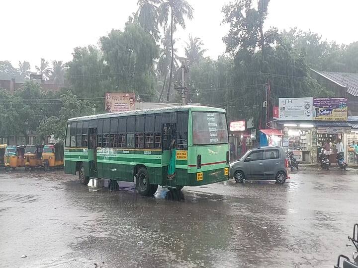 thiruvarur district heavy rain paddy damage TNN திருவாரூர் மாவட்டத்தில் வெளுத்து வாங்கிய கனமழை - நெல் பயிர்கள் நீரில் மூழ்குவதால் விவசாயிகள் வேதனை