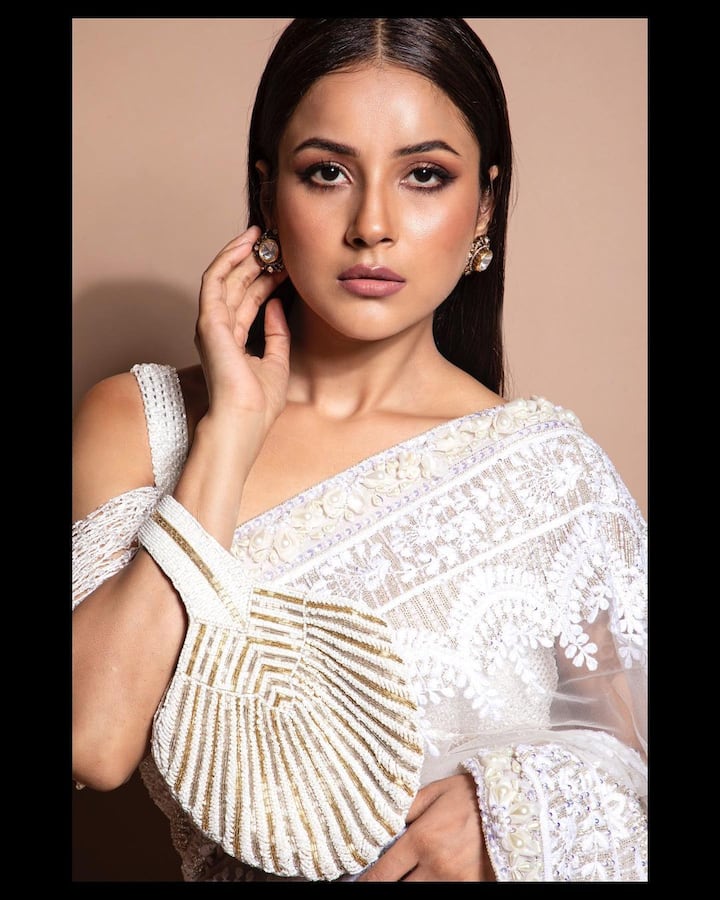 शहनाज गिलने नुकतेच तिचे काही बोल्ड फोटो इंस्टाग्राम हँडलवर शेअर केले आहेत, ज्यात तीने पांढऱ्या रंगाची साडी नेसलेली दिसत आहे. (फोटो सौजन्य :shehnaazgill/इंस्टग्राम)
