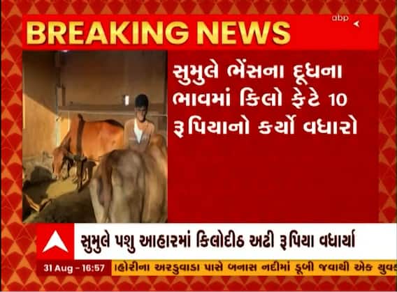 સુરત: પશુપાલકોને સુમુલ ડેરીએ આપી ભેટ, જુઓ કિલો ફેટે કેટલો કરાયો વધારો