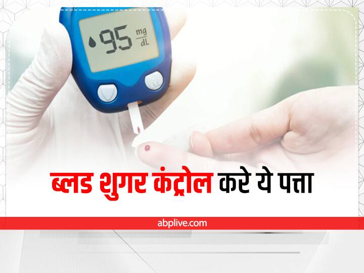 How to use Aak Leaves For Diabetes in hindi Aak Leaves For Diabetes: डायबिटीज के लिए रामबाण है ये पत्ता, इस तरह करें इस्तेमाल