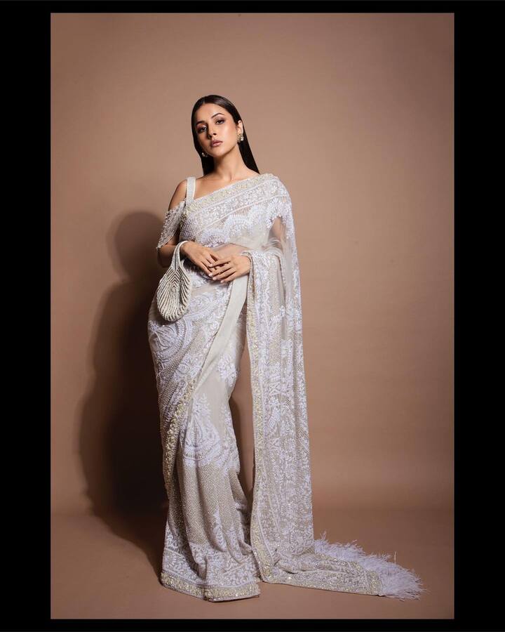 बिग बॉस 13 मधून बाहेर पडल्यापासून शहनाज गिल सतत चर्चेत असते. (फोटो सौजन्य :shehnaazgill/इंस्टग्राम)