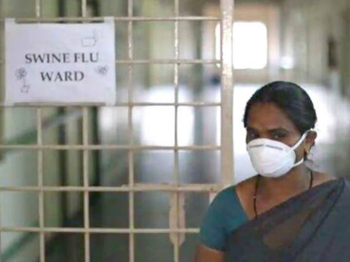 Maharashtra  512 cases of swine flu reported till July Swine Flu Case In Maharashtra: महाराष्ट्र में बढ़ा स्वाइन फ्लू का खतरा, जुलाई तक सामने आए 512 केस