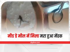 जबलपुर में मिड डे मील की खीर में मिला मरा हुआ मेंढक, जिला अधिकारी ने दिए कार्रवाई के निर्देश