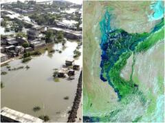 पाकिस्तान में सिंधु नदी में आई बाढ़ से बनी 100 किलोमीटर चौड़ी झील, NASA की ये तस्वीर बता रही है भयावहता