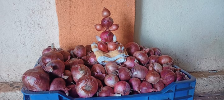 Maharashtra News Nashik News farmer of Nashik made an idol of Ganapati Bappa from onion Nashik Onion Bappa : नाशिकच्या शेतकऱ्याने कांद्यापासून साकारली गणरायाची मूर्ती, मांडला कांदा उत्पादकांचा आक्रोश