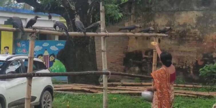 She regularly cooks for the animals and birds in the household, a rare example of Bani Devi's love for animals in Malda Malda: সংসার সামলে নিয়মিত রান্না করেন পশুপাখিদের জন্য, বাণী দেবীর পশুপ্রেমের বিরল দৃষ্টান্ত